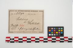 Etikett zu Eisengürtelhaken (NHMW-PRAE-025294)